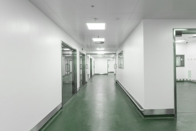 Creating a Sterile Environment: A Guide to Cleanroom Wall Panels