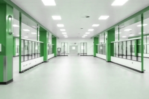 Cleanroom Flooring